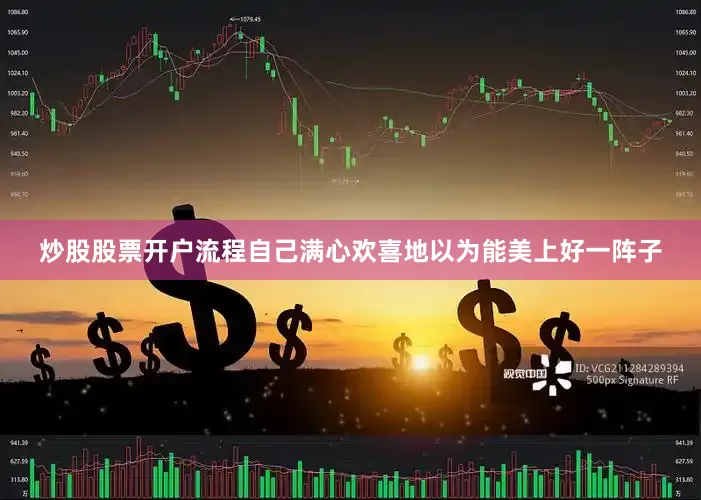 炒股股票开户流程自己满心欢喜地以为能美上好一阵子