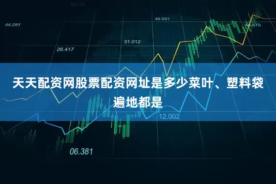 天天配资网股票配资网址是多少菜叶、塑料袋遍地都是
